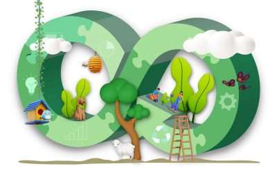 Marketing Sustainability and Ethical Practices Without Fear