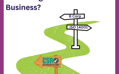 B Corp vs ISO 14001 vs ‘Something Else’: What’s Right for Your Business?