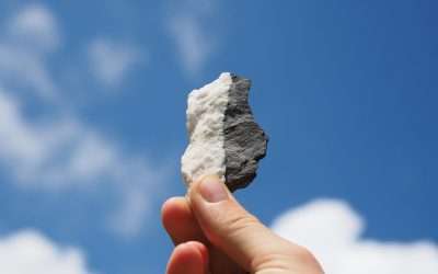 Two Sides of the Automation Coin in Marketing; Reassurance and Panic